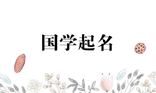  2023年3月11日出生的女婴将被取一个简单易记的名字。