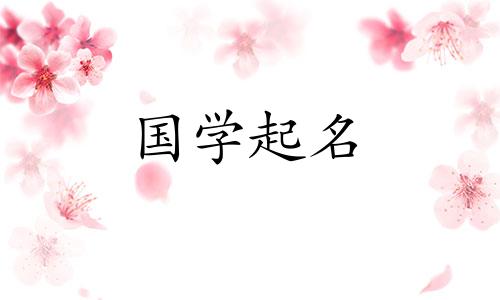 一个简单、单一的男孩名字，意味着光明的未来。