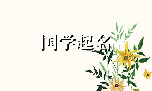 春天出生的小兔子的名字寓意着春天的欢乐。