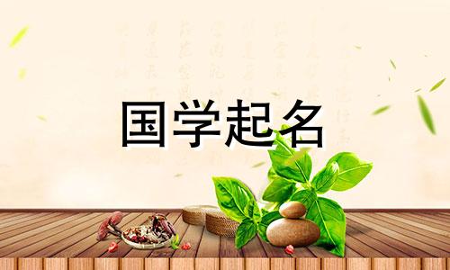 网络技术工作室名称完整列表(200个)