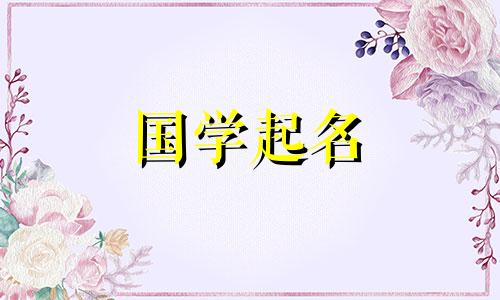 兔宝宝的名字简单、优雅、独特、流畅。适合兔宝宝的名字