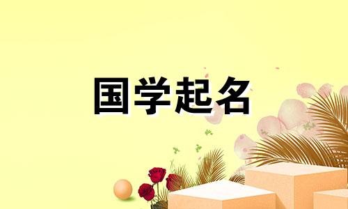 2023年2月19日出生的属兔人叫什么名字？一个前途光明的女孩？