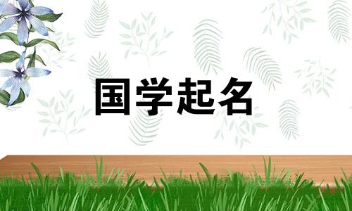  2023年二月十七日出生的属兔人命运如何？有哪些好的、大方的命名建议？