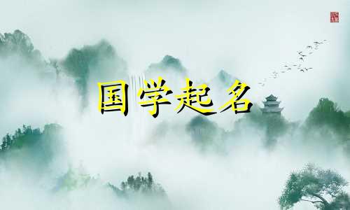 网络科技公司命名完整参考清单 200个名字