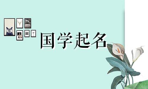 2023年二月初九出生的属兔男的名字，名字大方大方，具有五行属性。