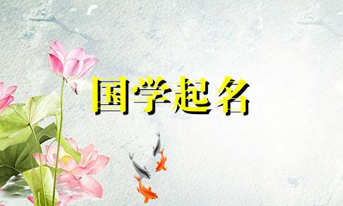 2023年闰月十二出生的男孩好不好？兔年出生的男宝宝起什么名字？