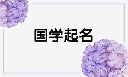 2023年2月26日出生的属兔的男孩命运如何？一个名叫的知识男孩的命运如何？