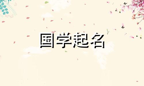  2023年最旺盛的公司名称。免费公司名称目录2023