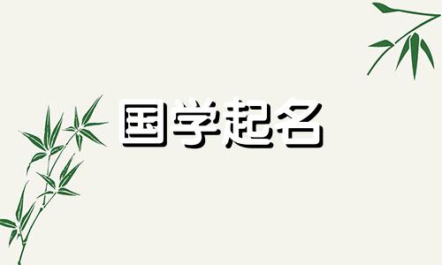 公司名称中文字幕最佳组合