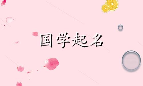  2023年属兔男孩名字排行榜 2023年最受欢迎的男孩名字是“属兔”