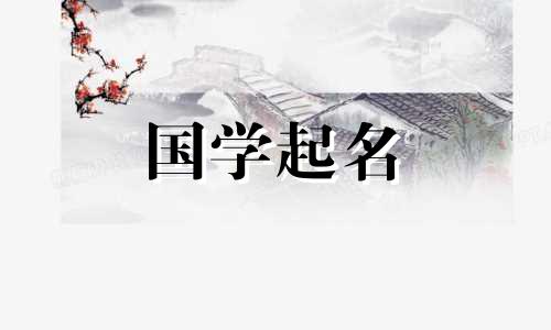 2023年2月7日出生的属兔人叫什么名字?