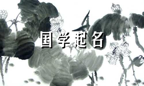 一个有意义的公司名称 一个优雅的公司名称