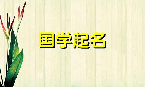  2023年男宝宝的名字叫“贺”，很好读，生肖属兔。男孩名字叫何