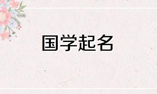 大胆的公司名称，简单易记的公司名称