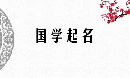 2023年袁姓女孩名字大全。 十二生肖袁姓宝宝名字大全。