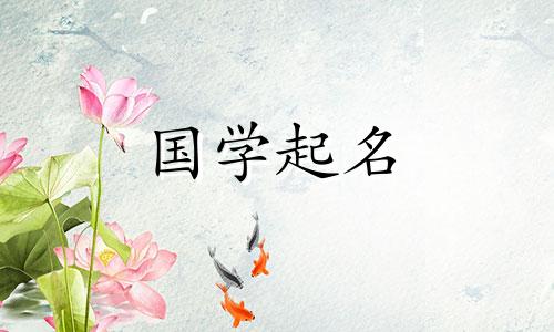 2023年正月十九出生的兔宝宝,会被命名为品行良好、道德高尚的人。