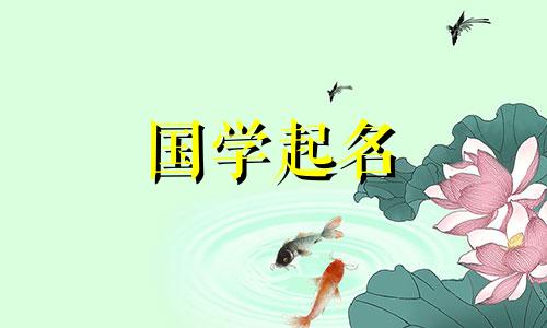 兔年春节出生的宝宝起什么名字？临近春节出生的宝宝起什么名字呢？