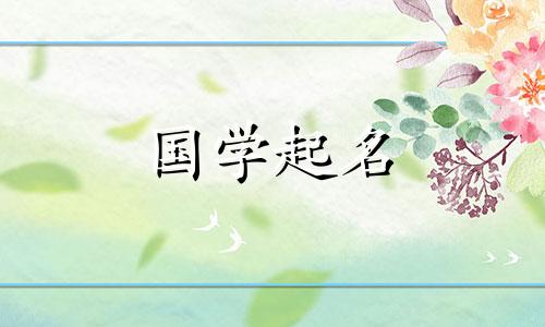  2023年农历正月二十六出生的男孩名字是“兔”。
