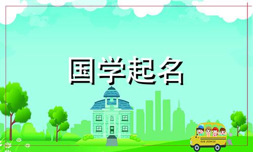 属兔人适合的公司名字 属兔人适合的公司名字