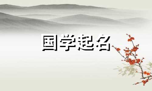 2023年正月十三出生的属兔人命运如何？ 2023年最受欢迎的男孩名字是什么？