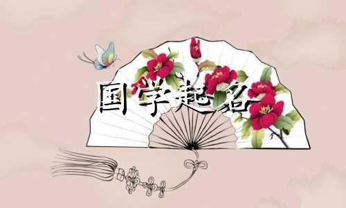  2023年如何给姓杨的宝宝起名？杨星的兔子有一个时髦的名字