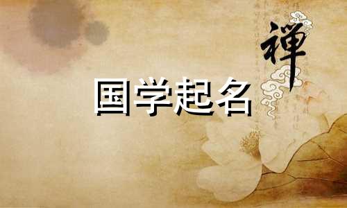 餐饮商标名称完整列表和快餐名称完整列表