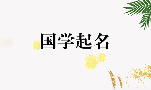 容易发音、不受欢迎、没有重名的三字公司名称。