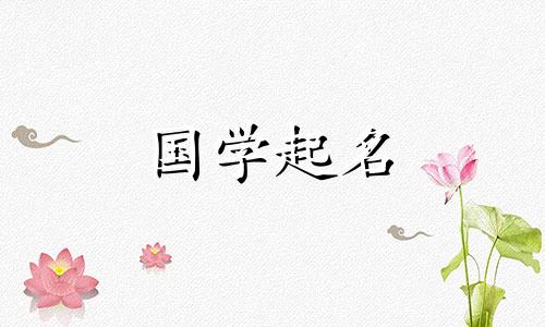 好听的姓张的女孩名字,时尚优雅的女宝宝名字