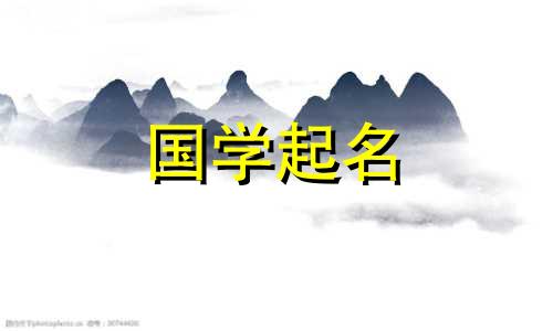 2022年腊月十九出生的女孩叫什么名字？