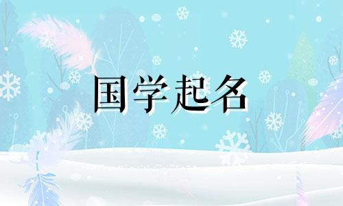 互联网公司名称名录，免费互联网公司起名，高端优雅