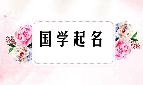 高端企业名称有哪些？