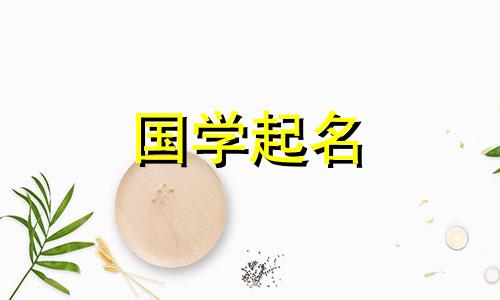 互联网公司名称大全免费,最新公司名称免费参考