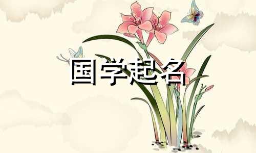 2022年腊月初十出生的男宝宝五行命理精彩，男孩名字好听