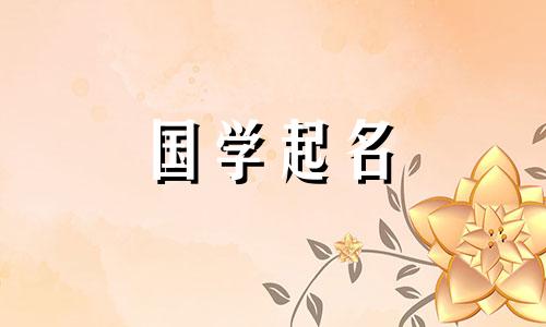 选择三字符公司名称。公司名称中包含“王”字的最佳组合。