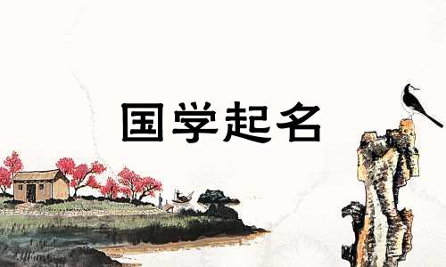 苏琳雅这个名字的含义是什么?苏琳亚五位数数学分析