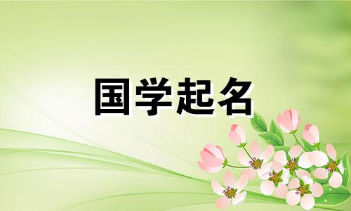 婚礼公司的名字既优雅又时尚。婚庆公司推荐名字。