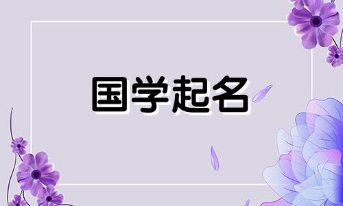 生肖属兔的胡男孩，是一个有才华的胡男孩的好名字。