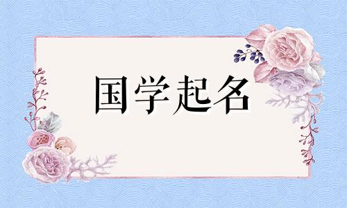 霸气的租车名和时尚的公司名