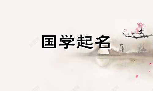 2022年11月28日出生的男宝宝的五行命理学。男孩的名字寓意高品质。