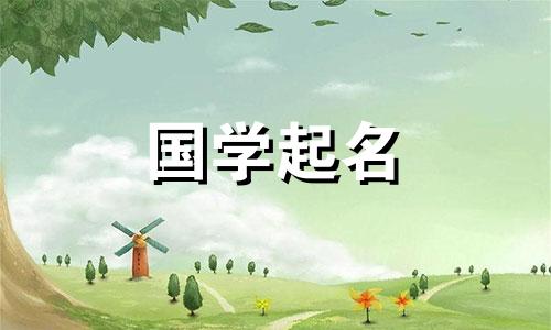 三字母食品品牌名称和易于记忆的公司名称的完整列表