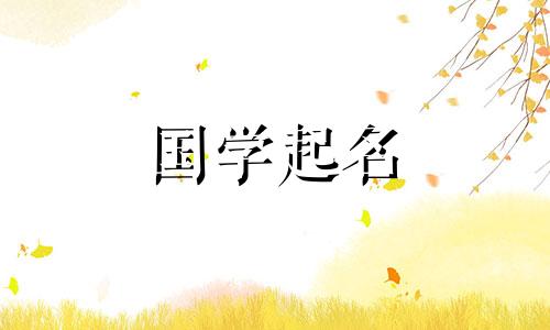 开设一家贸易公司并选择一个名称。商业企业名称完整列表。