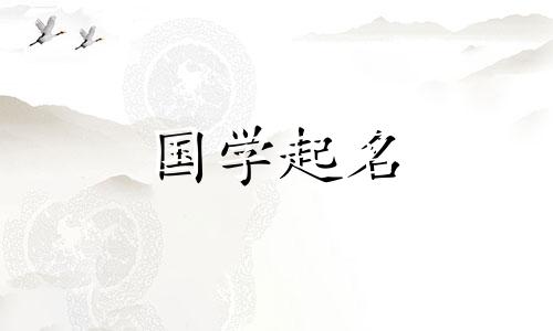 二字互联网公司名称是选择好的企业名称的最佳参考。