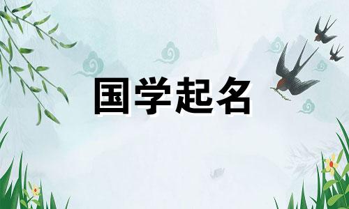 科技公司名称全集。国外风格科技公司推荐名称。