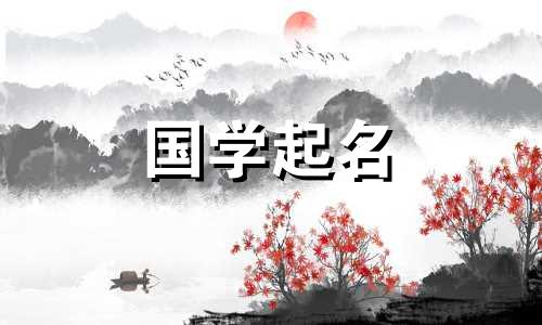 2022年10月25日出生的女孩缺少哪五个要素？温柔又优雅的女孩名字