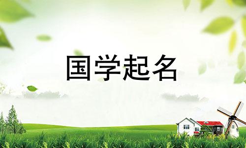 易于记忆的商标名称和好听的公司名称的完整列表