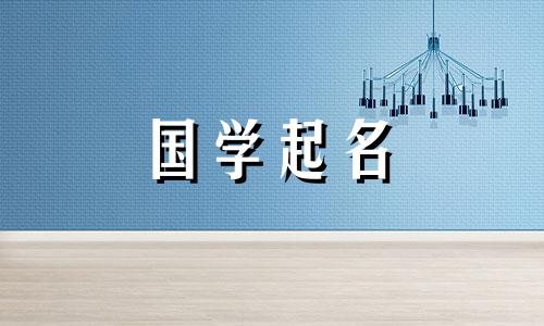 相对容易发音的好公司名称综合列表