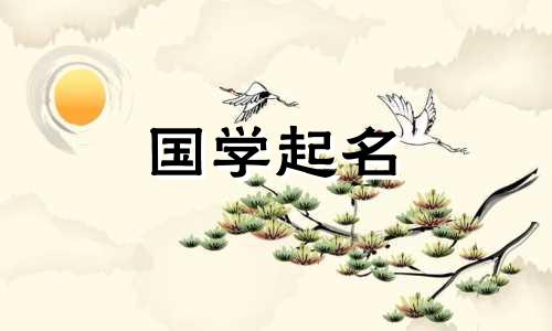 工贸公司名称:工贸公司推荐名称