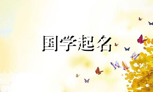 免费店铺命名软件公司软件公司名单