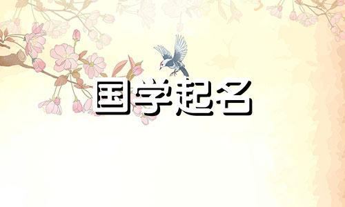 宝宝姓蔡。蔡这个男孩的最佳婴儿名字。