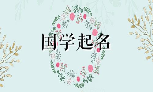 给软件公司起名应该用什么词？